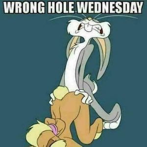 Meet your Posher, Dave